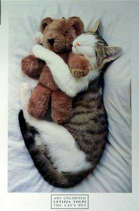 cuddlykitty.jpg